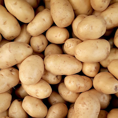 Potato (1Kg)