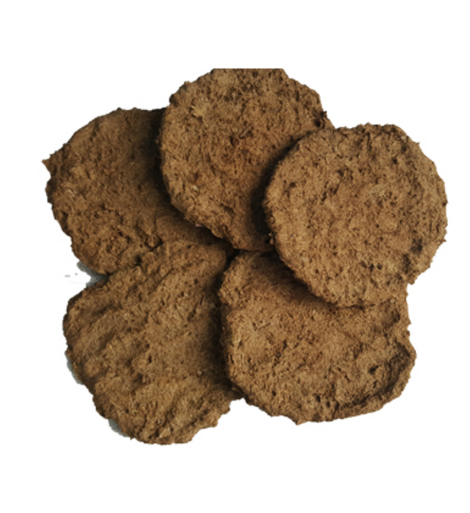 Cow Dung Cake - Indian Breed Cow