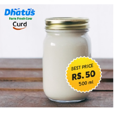 Classic Curd Jar