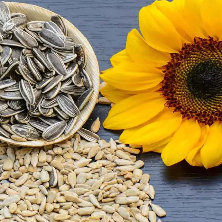 Sunflower Seeds (Poddu Tirugudu Ginjalu)