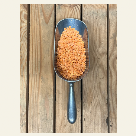 Red Lentils Organic