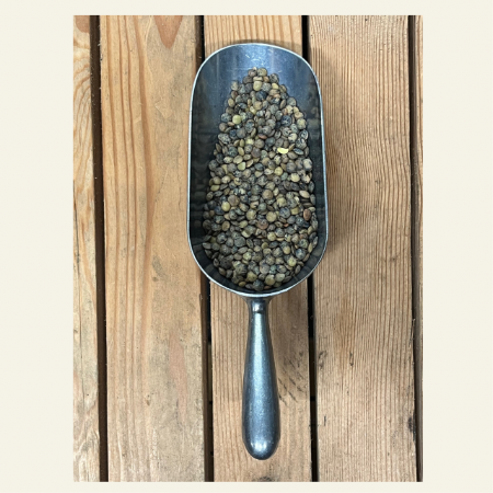 Puy Lentils Organic