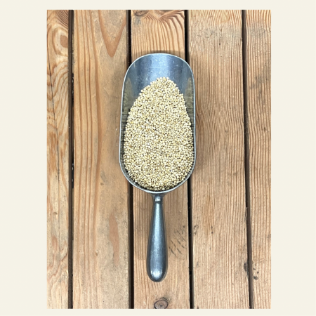 British White Quinoa 