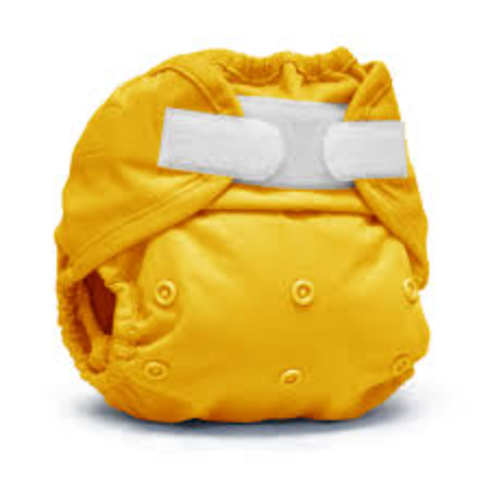 Dandelion Rumparooz Newborn Diaper Cover