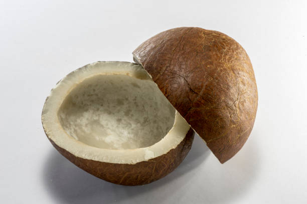 Coconut Dry Kopra