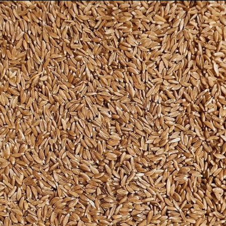 Gehun/Godi/Wheat (Khapli/Emmer) - Natural - Low Gluten