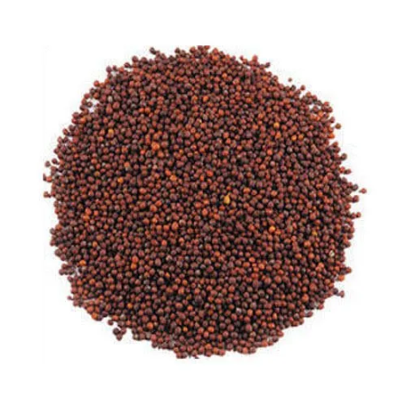 Pm Red Mustard