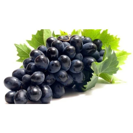 Black Grapes - Seedless