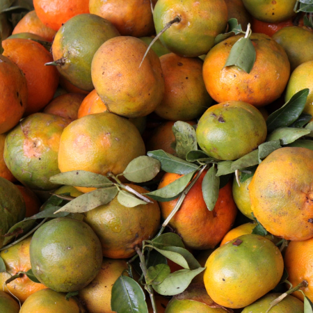 Local Mandarine (1kg)