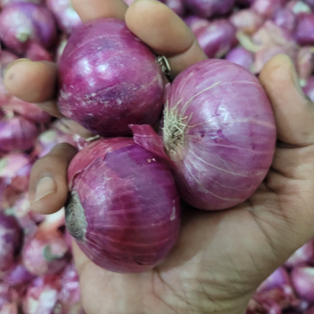 Onion - Certified Organic