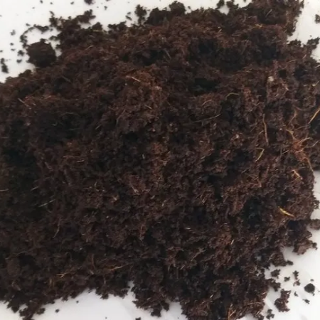 Coco Peat - Soil Conditioner