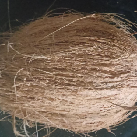Fresh Raw Coconut (For Chutney) - Natural.