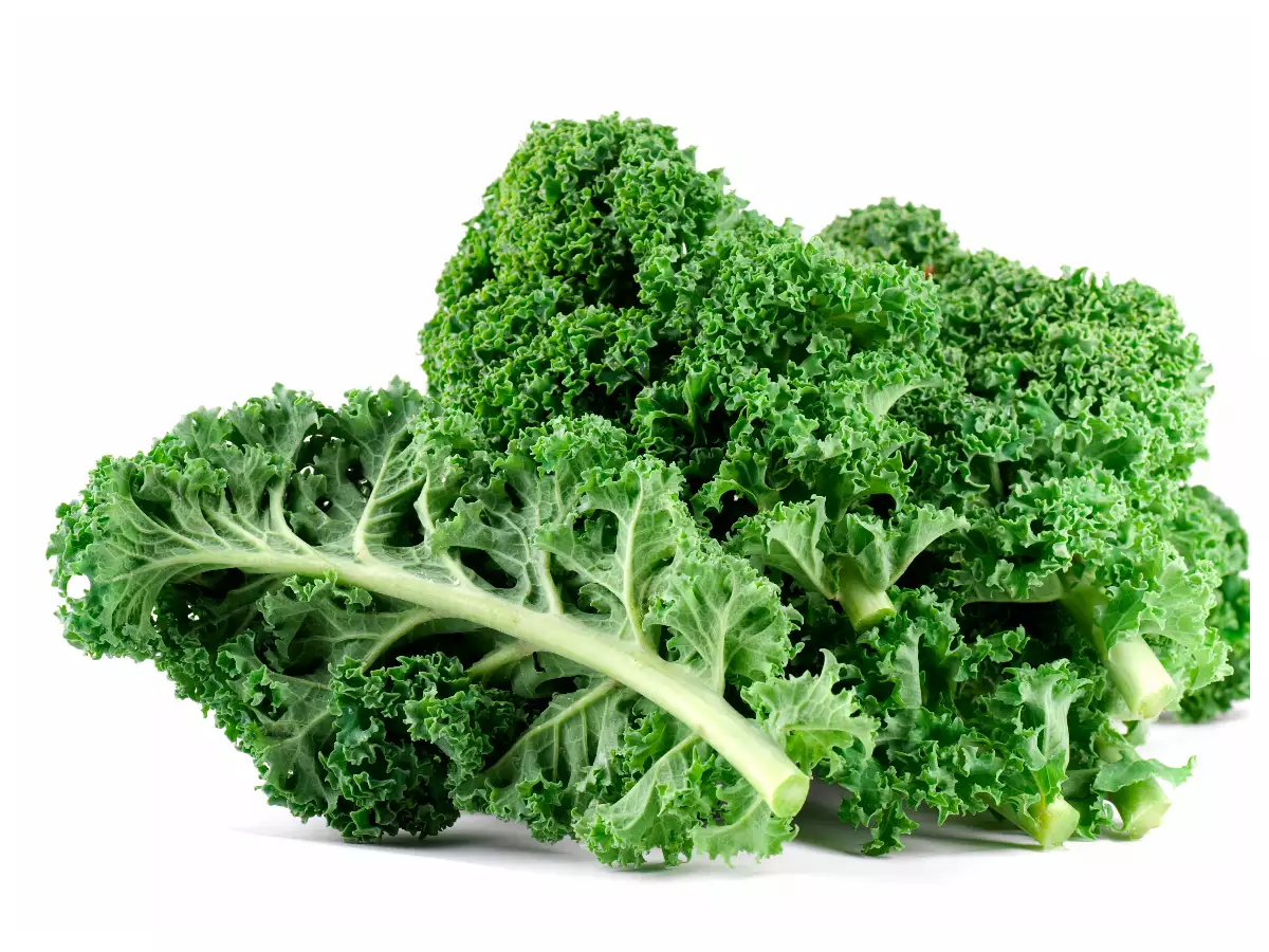 Kale (leaf Cabbage) - Natural
