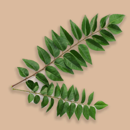 Curry Leaves  - Natural