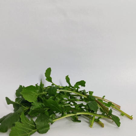 Rocket Leaves
