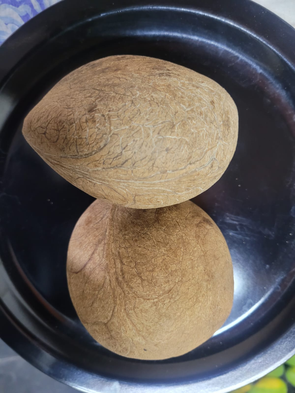 Copra (Dry Coconut)