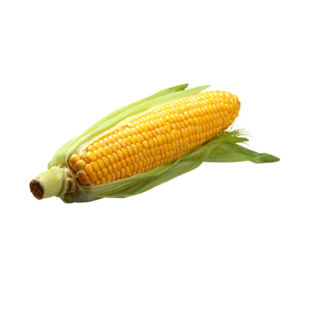 Sweet corn 