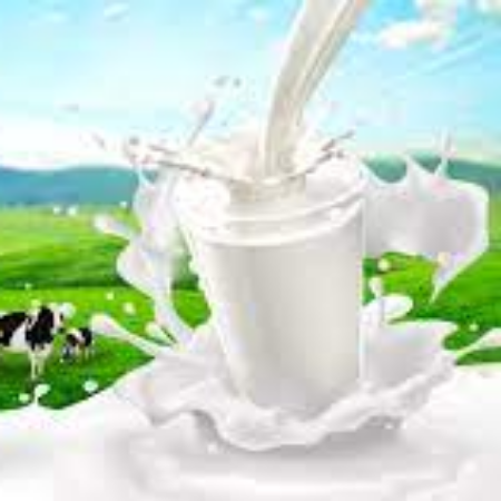 cow milk 1231