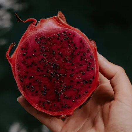 Dragon Fruit Red