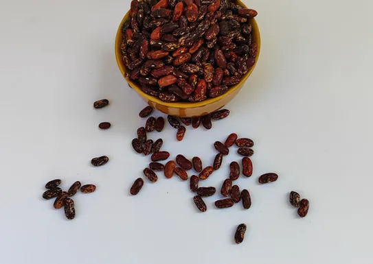 Rajma Chitra Red