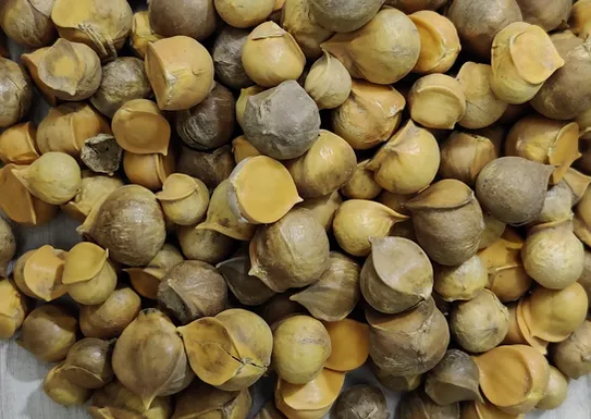 Garlic Himalayan Pearls