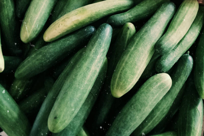 Cucumber - Lebanese