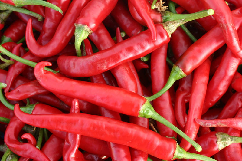 Chilli - Red