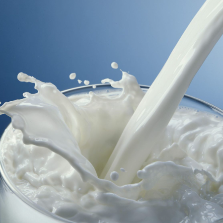 Milk Fresh With Cheese white A2 Pure Desi Cow