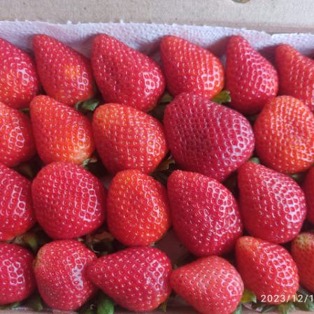 Strawberry - Certified Organic