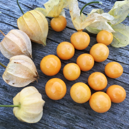 Cape Gooseberry ~400g