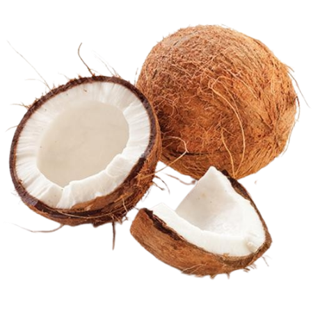 Coconut Regular