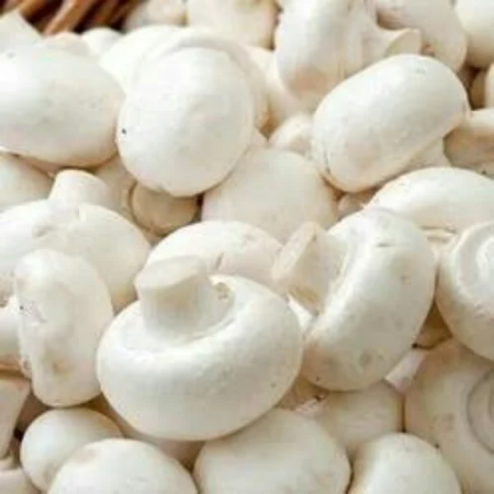 Button Mushroom .
