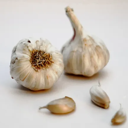 Garlic Medium