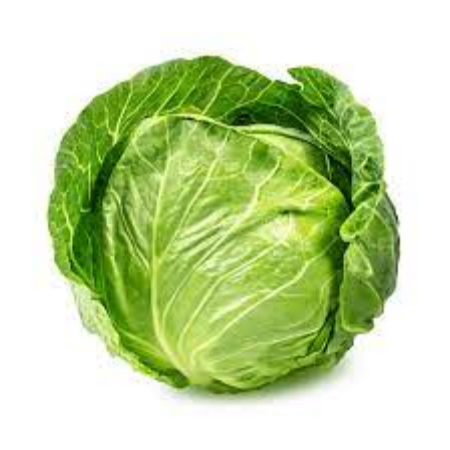 Pm Cabbage 