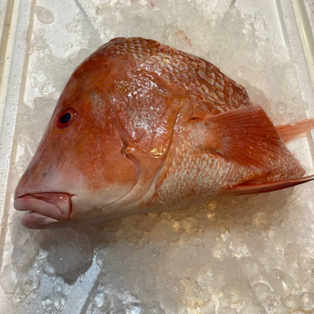 Red Emperor Snapper (Bourzwa) Head 1kg