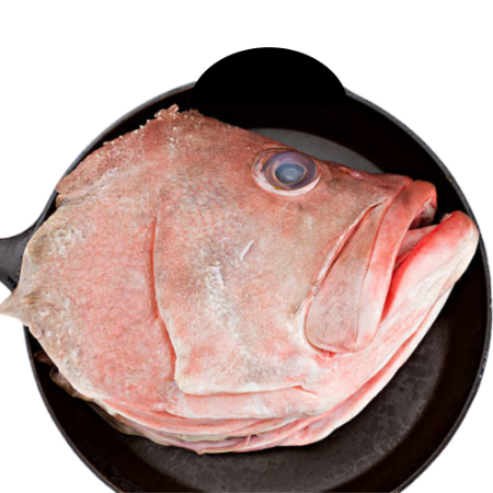 White Blotched Grouper (Vyey Plat) Head 1kg