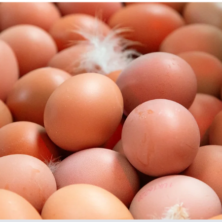 Free Range Eggs - 6