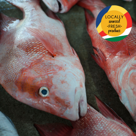 Fresh Red Snapper (Bourgeois) Whole Fish