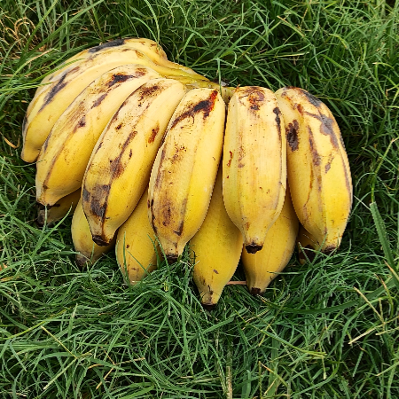 Banana Elaichi