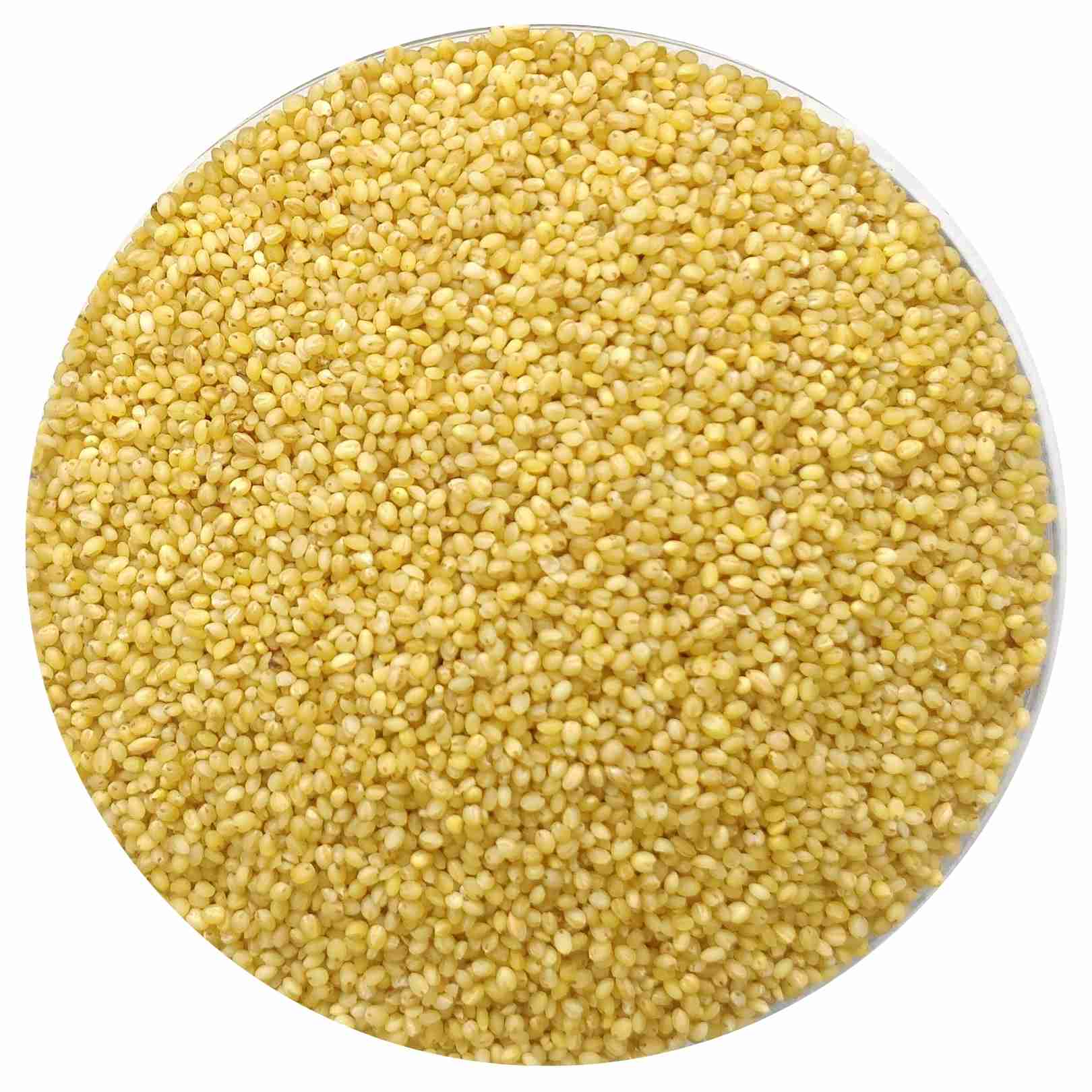 Foxtail Millet/Kangni - Natural