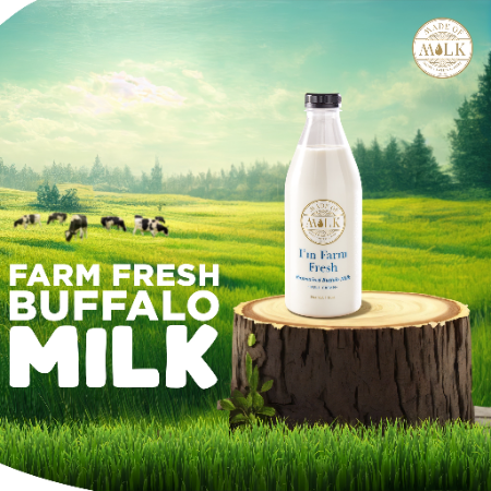 Buffalo Milk