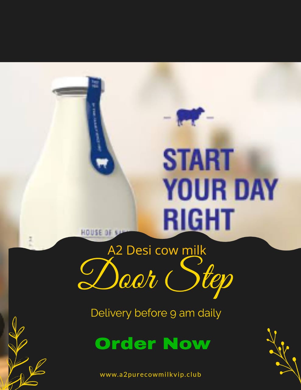 A2 Cow Milk Organic 1 L