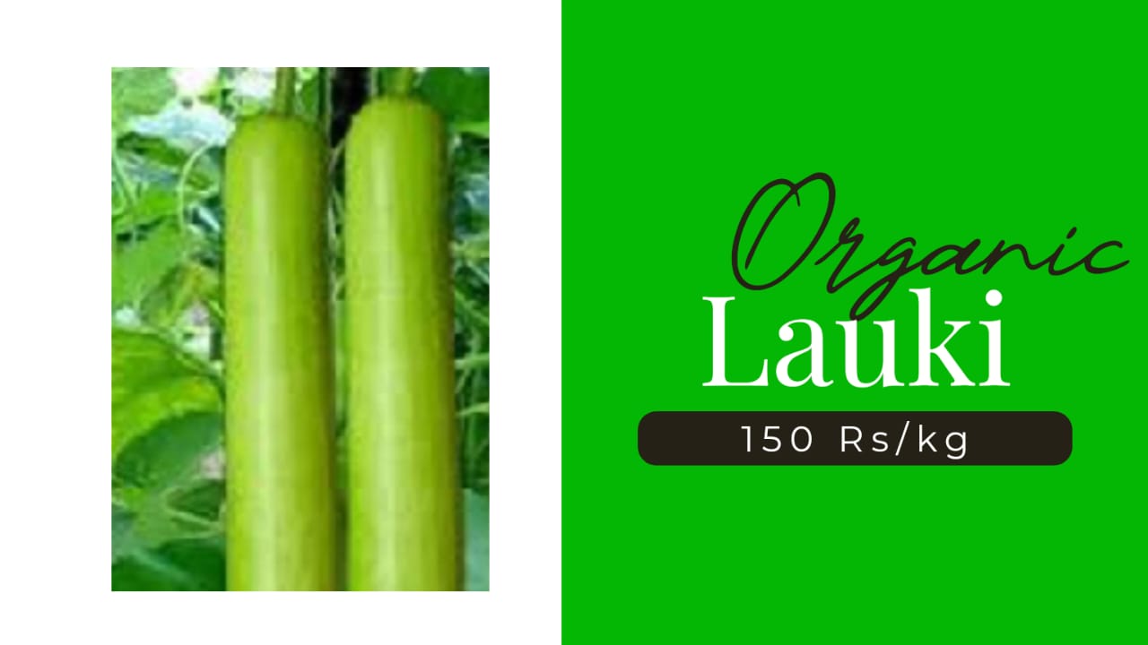 Organic Lauki 