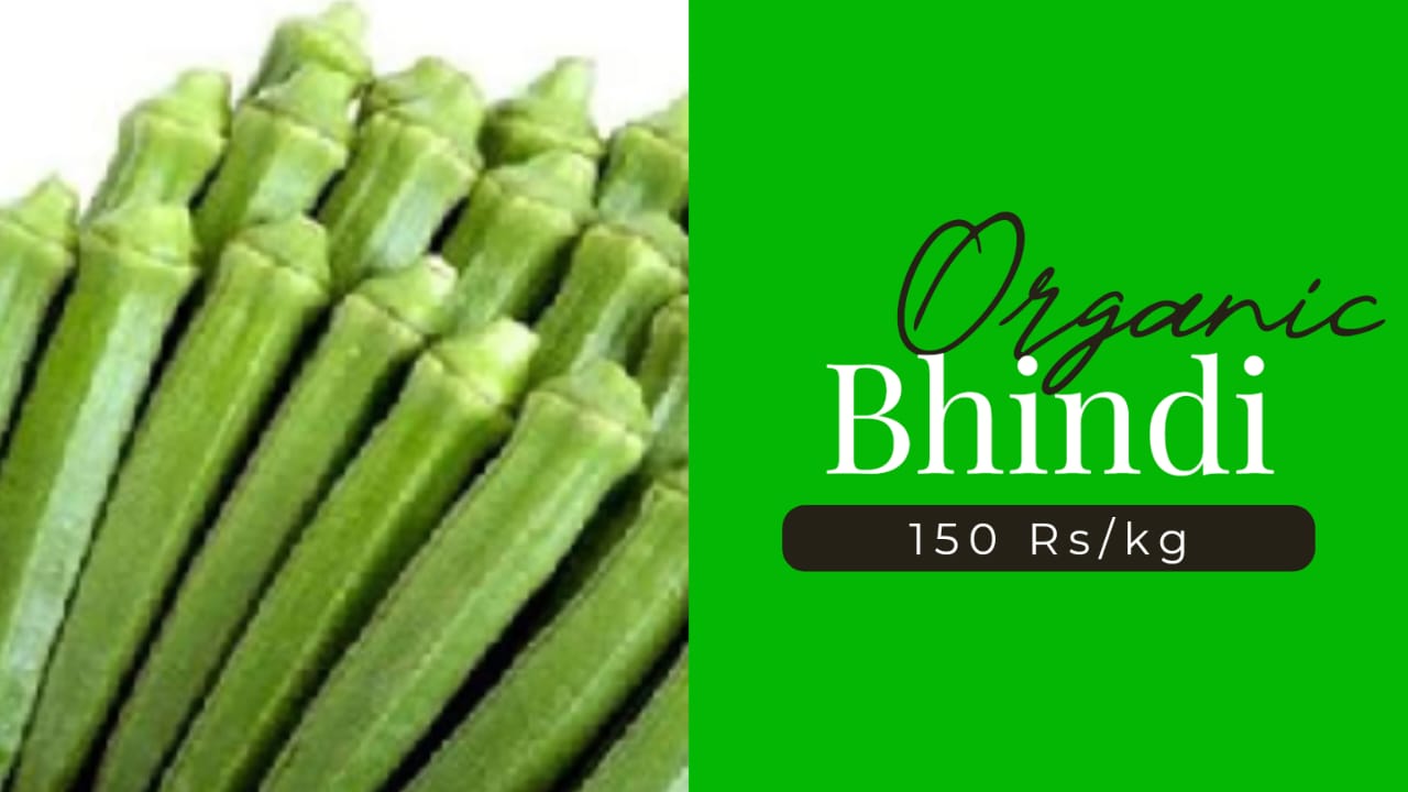 Organic Bhindi