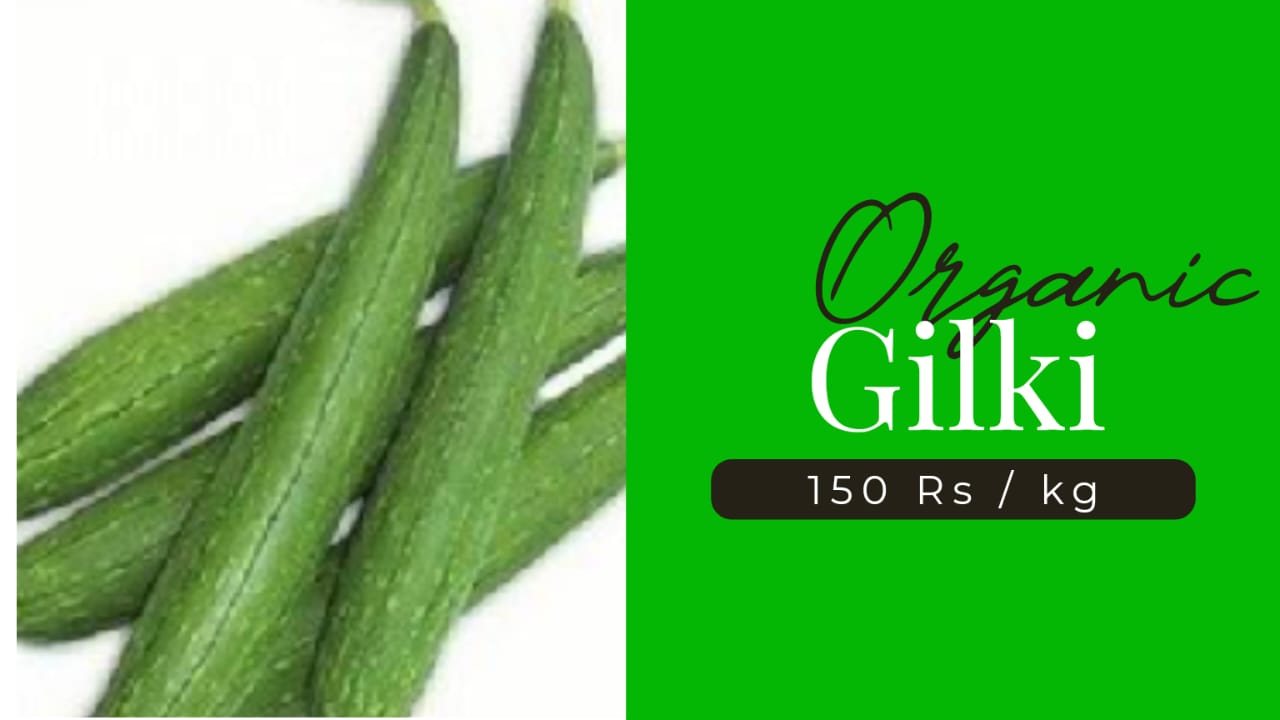 Organic Gilki