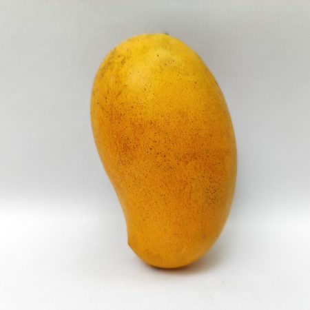 Mango Amrapali Premium