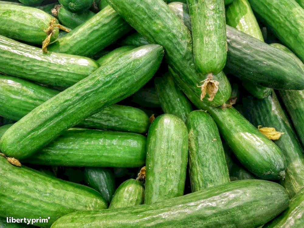 French Cucumber - Natural d