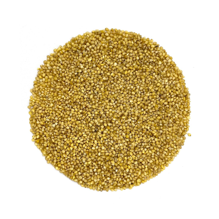 YOS Foxtail Millet Konidhan