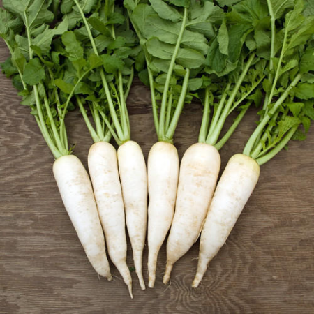 Radish (Muli) - Natural (weekly)