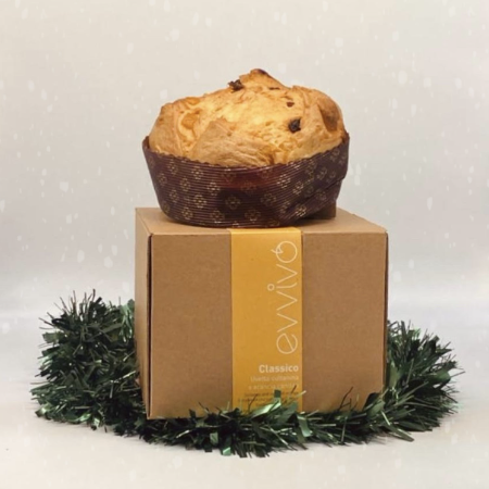 Organic Classic Panettone 